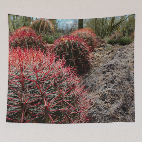 Item preview, Fire Barrel Cactus designed and sold by MonsoonPhoto.