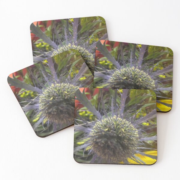 Item preview, Mediterranean Sea Holly designed and sold by Betsy Phillips.