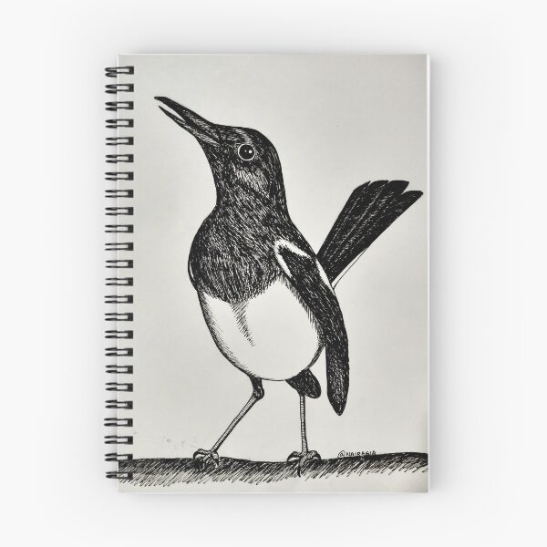 Item preview, Oriental-Magpie Robin Sketch designed and sold by Nairagia.