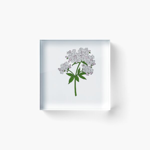 Item preview, Valerian Flower - Pink designed and sold by emlowery17.