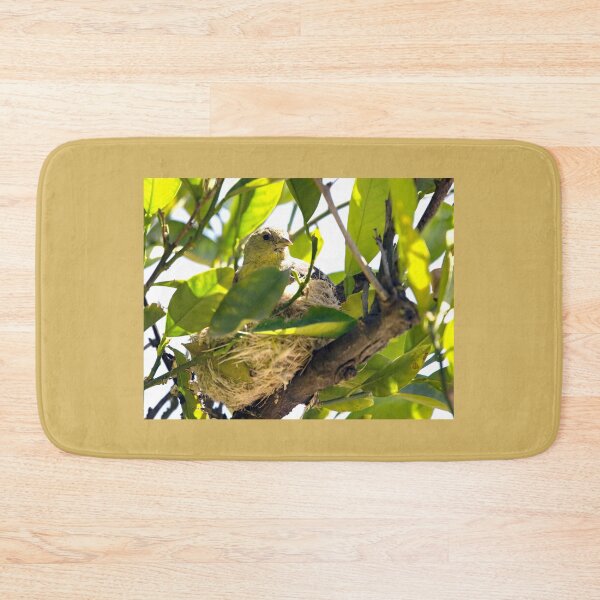 Item preview, Just Hanging Out at the Nest designed and sold by CarolM.