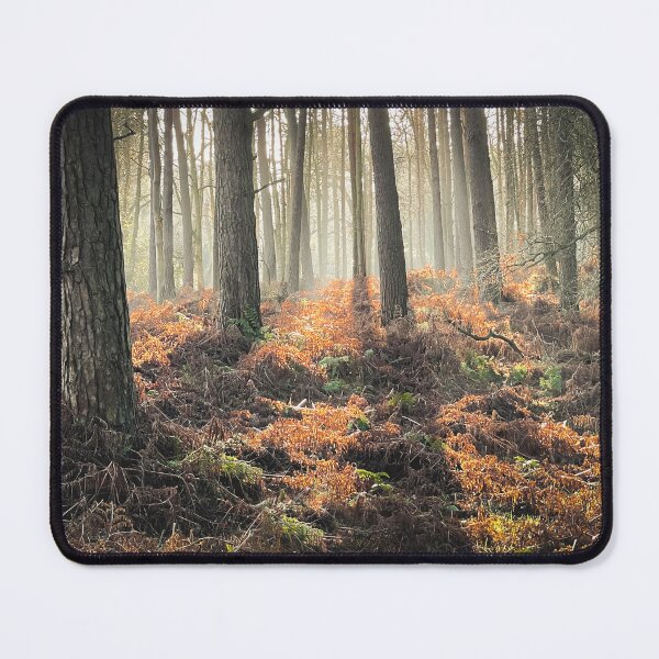 Item preview, Backlit Woodland designed and sold by Chris Baitson.