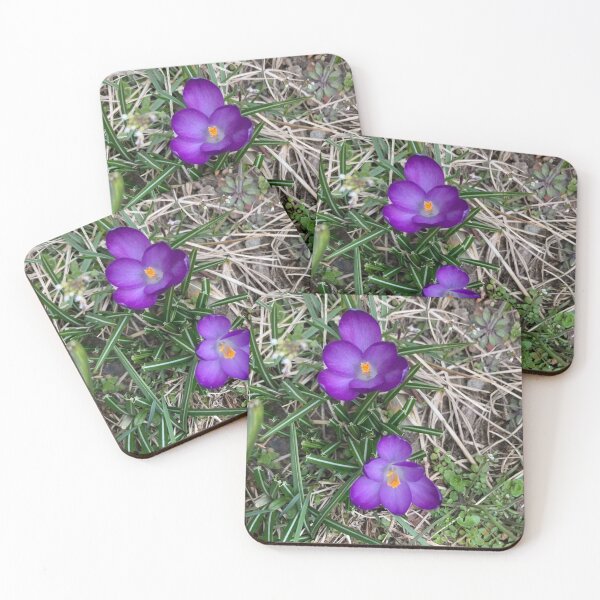 Item preview, Two Cute Little Crocuses  designed and sold by Amanda1775.
