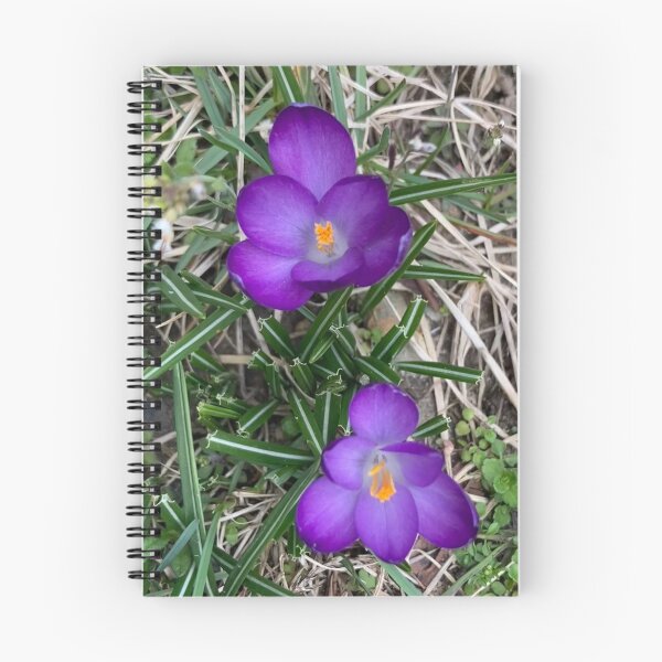 Item preview, Two Cute Little Crocuses  designed and sold by Amanda1775.