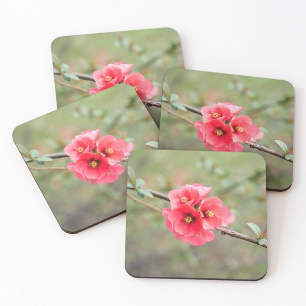 Item preview, Flowering Quince Vibrant Pink Bloom Cluster designed and sold by Georgia Mizuleva.
