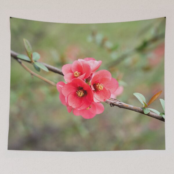 Item preview, Flowering Quince Vibrant Pink Bloom Cluster designed and sold by Georgia Mizuleva.