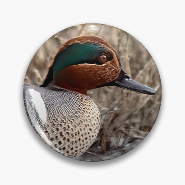Item preview, Green Winged Teal Duck designed and sold by CarolM.