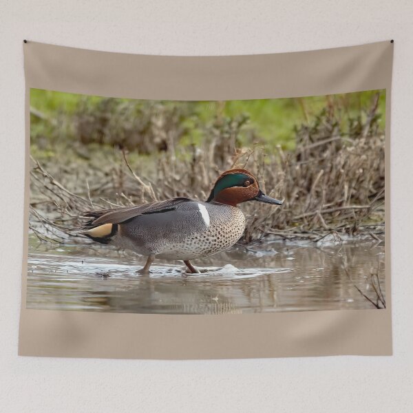 Item preview, Green Winged Teal Duck designed and sold by CarolM.