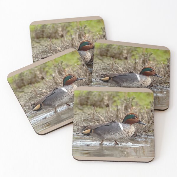 Item preview, Green Winged Teal Duck designed and sold by CarolM.