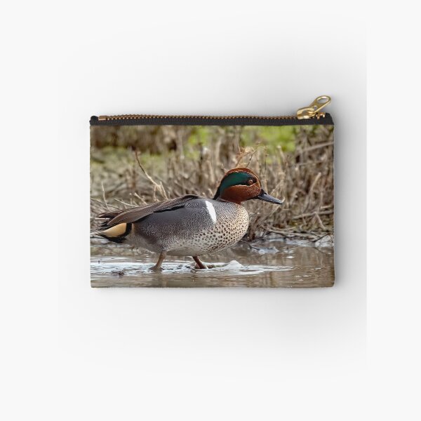Item preview, Green Winged Teal Duck designed and sold by CarolM.