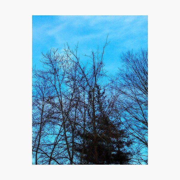 Blue Photographic Print