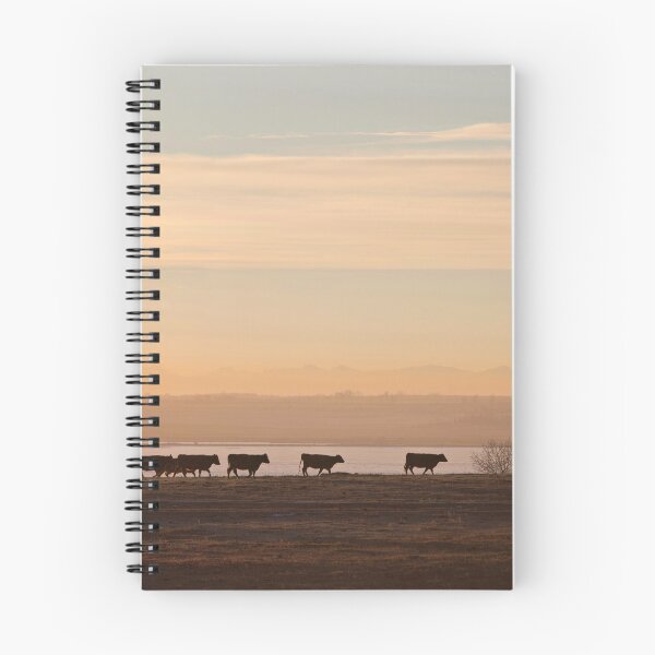 Item preview, Cattle at sunset designed and sold by Shauna Kenworthy.