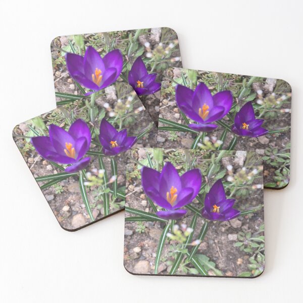 Item preview, Two Sharp Crocuses  designed and sold by Amanda1775.