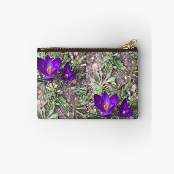 Item preview, Two Sharp Crocuses  designed and sold by Amanda1775.