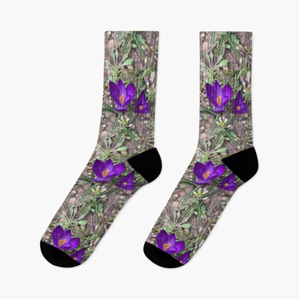 Item preview, Two Sharp Crocuses  designed and sold by Amanda1775.