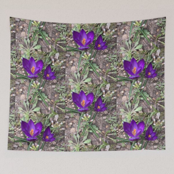 Item preview, Two Sharp Crocuses  designed and sold by Amanda1775.