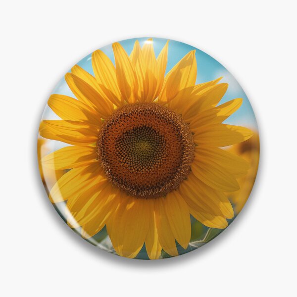 Item preview, Sunflower Fields, Grampians designed and sold by Steven  Sandner.