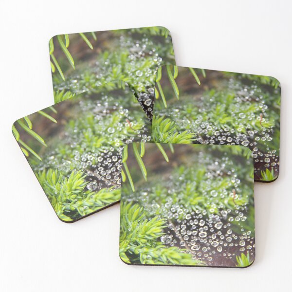 Item preview, Spiderweb Dewdrops designed and sold by APCHAUart.