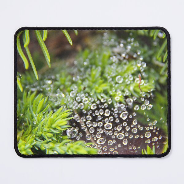 Item preview, Spiderweb Dewdrops designed and sold by APCHAUart.