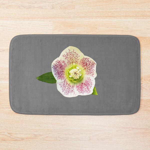 Item preview, A Lenten Rose. Helleborus orientalis designed and sold by annasofia.