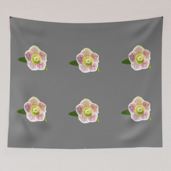Item preview, A Lenten Rose. Helleborus orientalis designed and sold by annasofia.