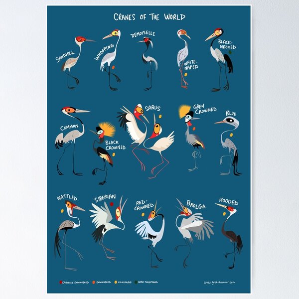 Item preview, Cranes of the World designed and sold by Green Humour.