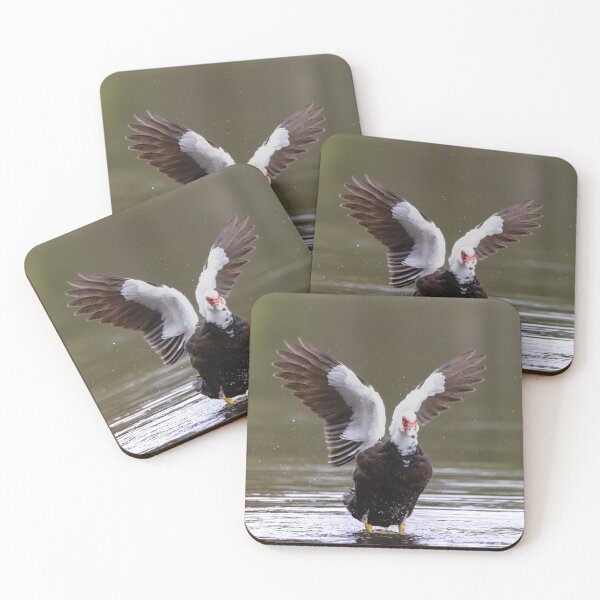 Item preview, Muskovy Duck designed and sold by Tara Smithson.