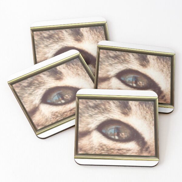 Item preview, 1976 Photograph of a Cat Eye with a woman inside the eye. taken on a Yashika Camera Micro Lens.  designed and sold by Alicia Perrelli.