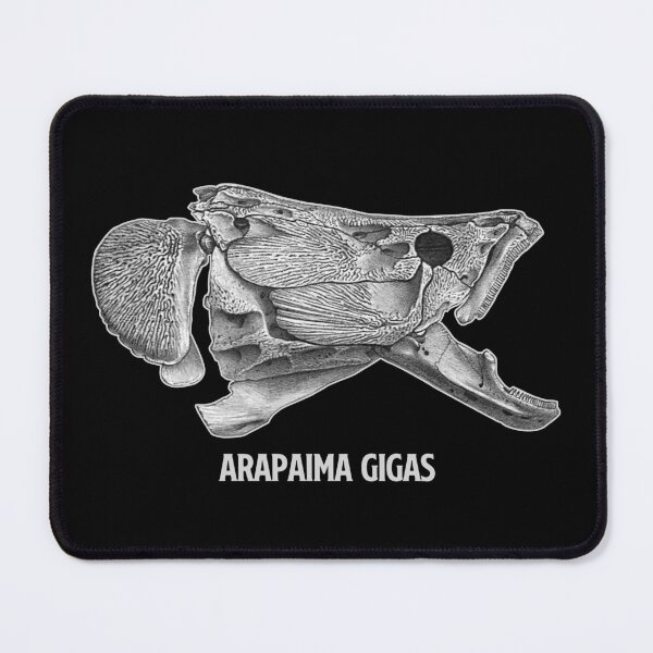 Item preview, Arapaima Pirarucu Paiche Skull Skeleton Aquarium Fish Keeper Aquarist Gift designed and sold by TheAplus.