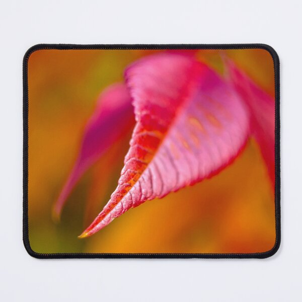 Item preview, Autumn Leaf designed and sold by Alisonchambers2.