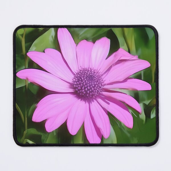 Item preview, Purple Osteospermum Against Green Leaves designed and sold by taiche.
