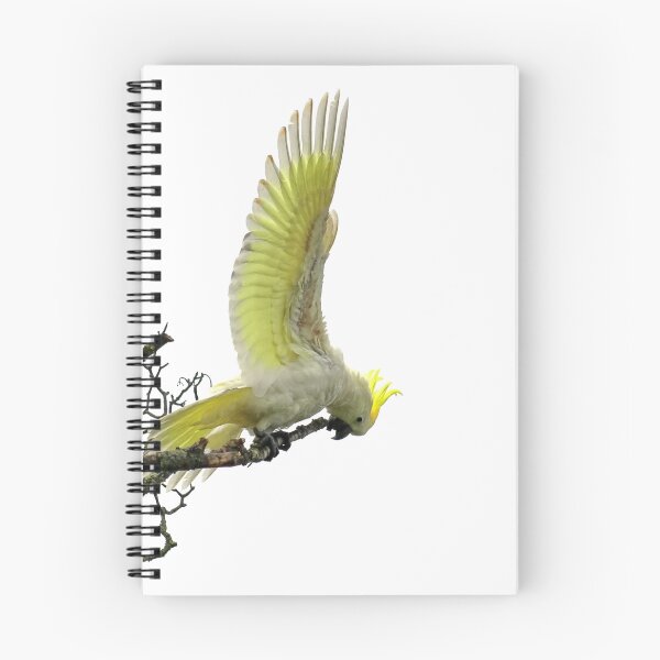 Item preview, White Sulphur-Crested Cockatoo designed and sold by John Weeks.
