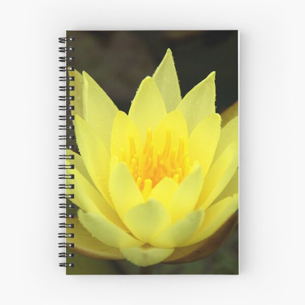 Artikelvorschau, Yellow Lilly entworfen und verkauft von Ray Fowler.