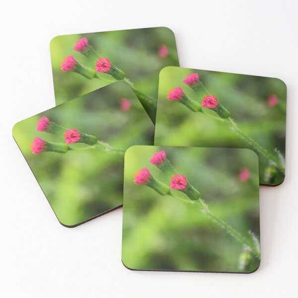 Item preview, Flora's paintbrush close-up designed and sold by MercerImages.