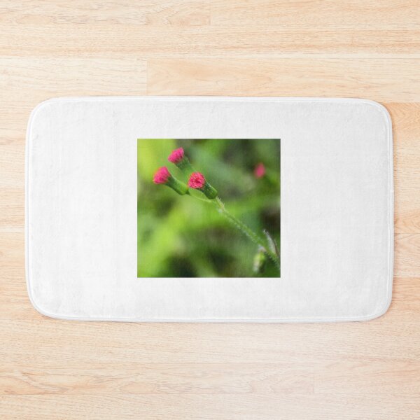 Item preview, Flora's paintbrush close-up designed and sold by MercerImages.
