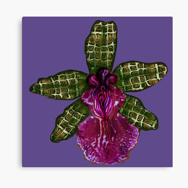 Pinque and Purrple Canvas Print