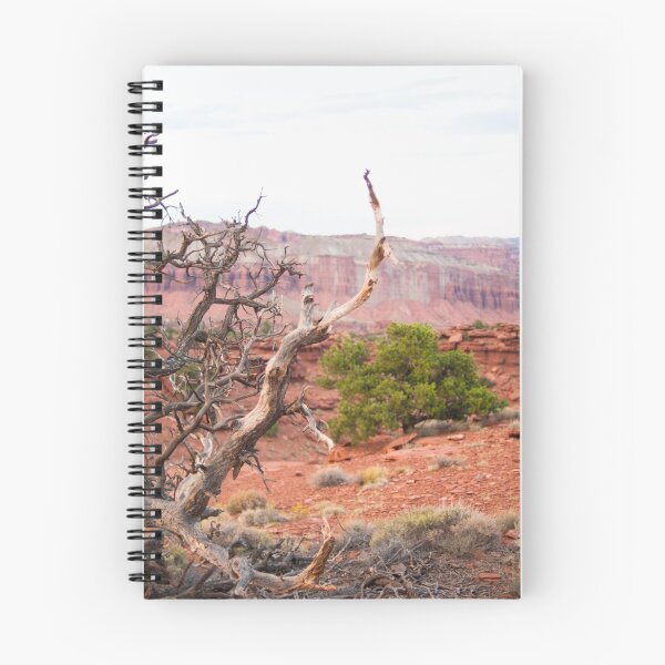 Item preview, Rim Outlook Trail- Captiol Reef National Park  designed and sold by ChaseTheAlpine.