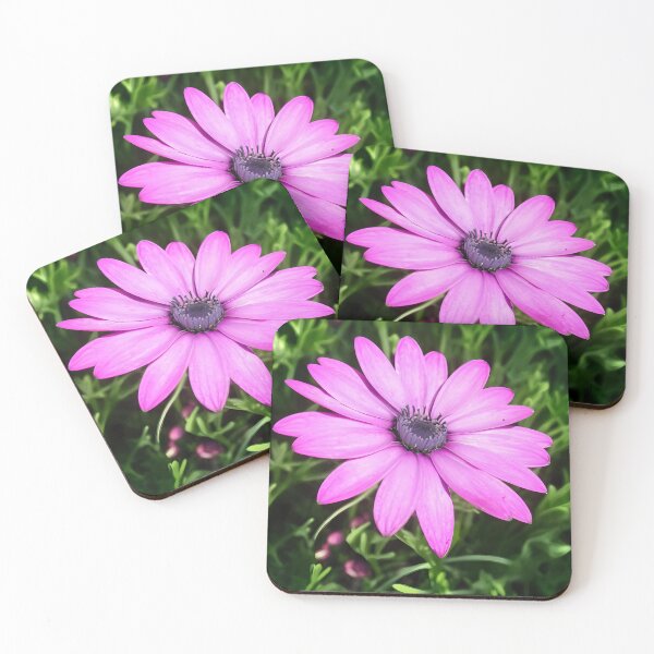 Item preview, Single Pink African Daisy Against Green Foliage Art designed and sold by taiche.