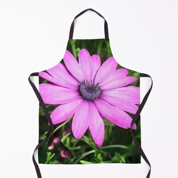 Item preview, Single Pink African Daisy Against Green Foliage Art designed and sold by taiche.