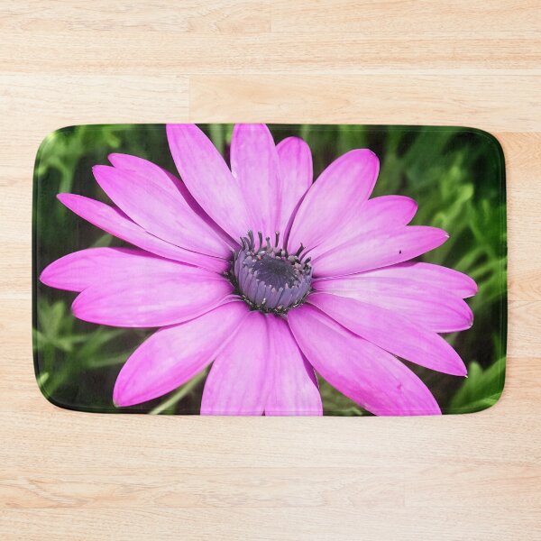 Item preview, Single Pink African Daisy Against Green Foliage Art designed and sold by taiche.