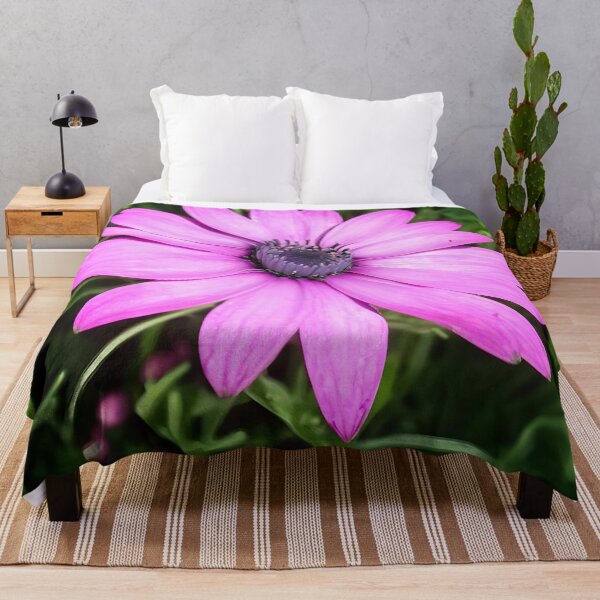 Item preview, Single Pink African Daisy Against Green Foliage Art designed and sold by taiche.