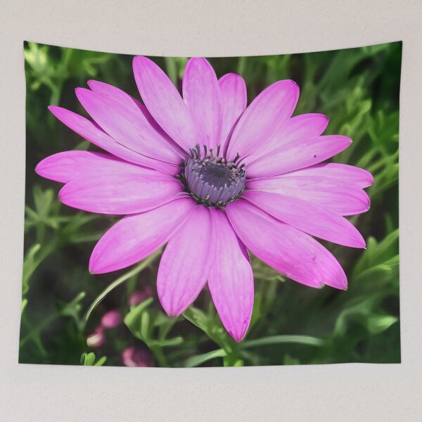 Item preview, Single Pink African Daisy Against Green Foliage Art designed and sold by taiche.