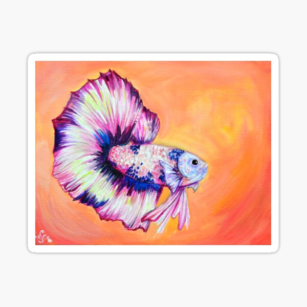 Betta Fish Sticker