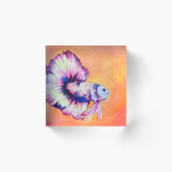 Betta Fish Acrylic Block