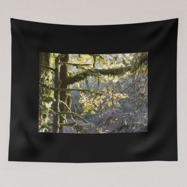 Item preview, WHEN SUN SHINES INTO THE DARK WET RAINFOREST! designed and sold by Elaine Bawden.