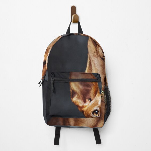Item preview, The Pharaoh Hound designed and sold by Tom McPherson Photography.
