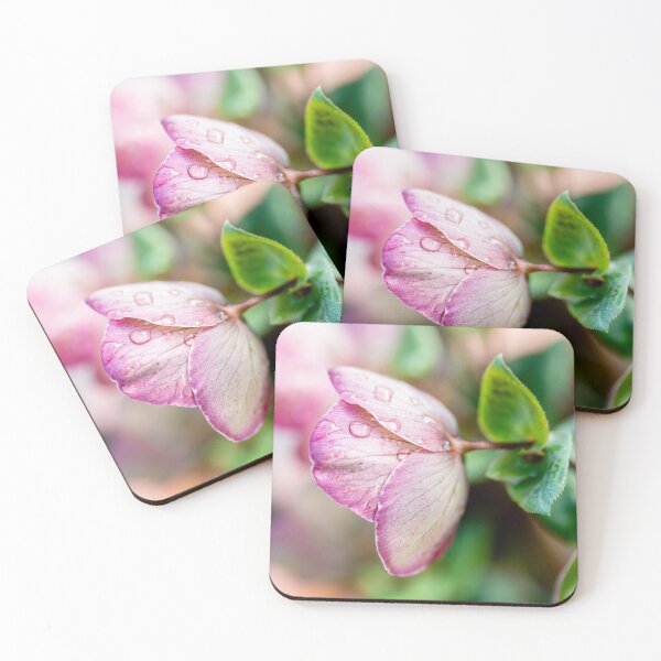 Item preview, Waterdrops On Helleborus designed and sold by Tanya C  Smith.
