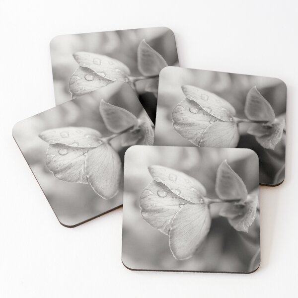 Item preview, Waterdrops On Helleborus Monochrome designed and sold by Tanya C  Smith.