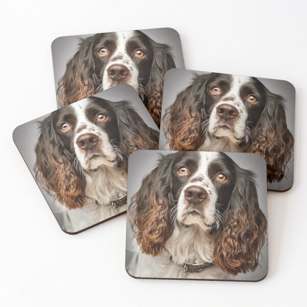 Item preview, English Springer Spaniel designed and sold by Tom McPherson Photography.
