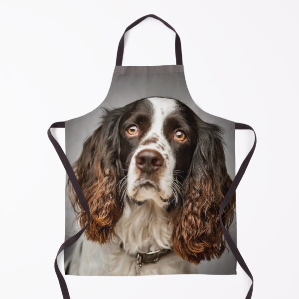 Artikelvorschau, Englischer Springer Spaniel entworfen und verkauft von Tom McPherson Photography.